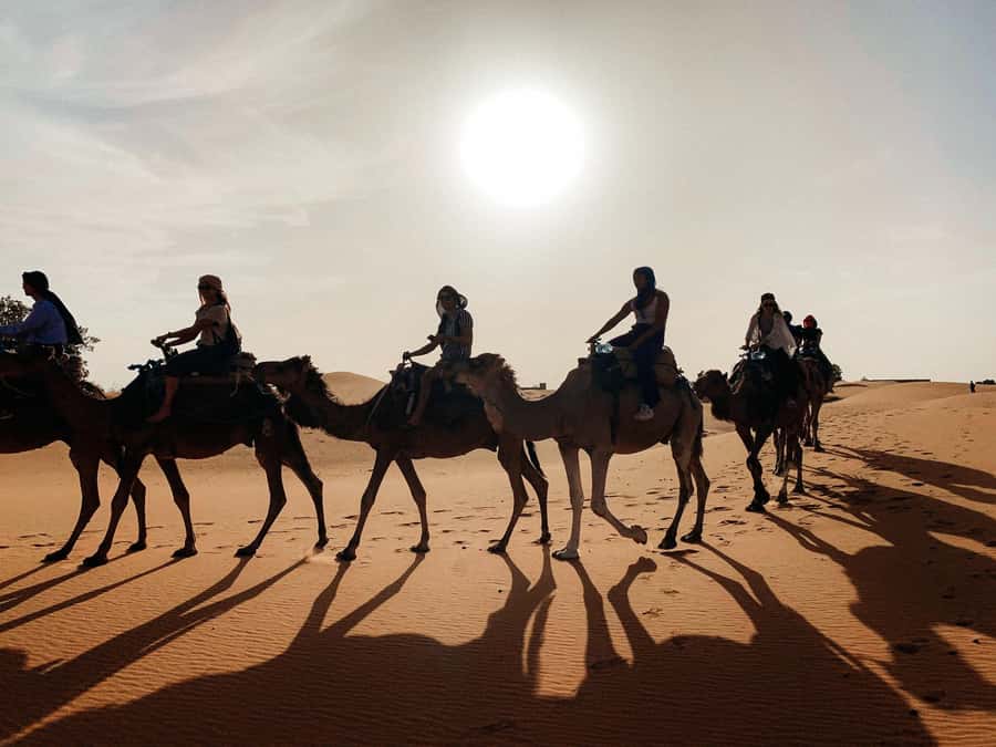 Marrakech: 3-Day Trip to Fez with Sandboarding & Camel Ride - Price and Value: What You Get for About $151