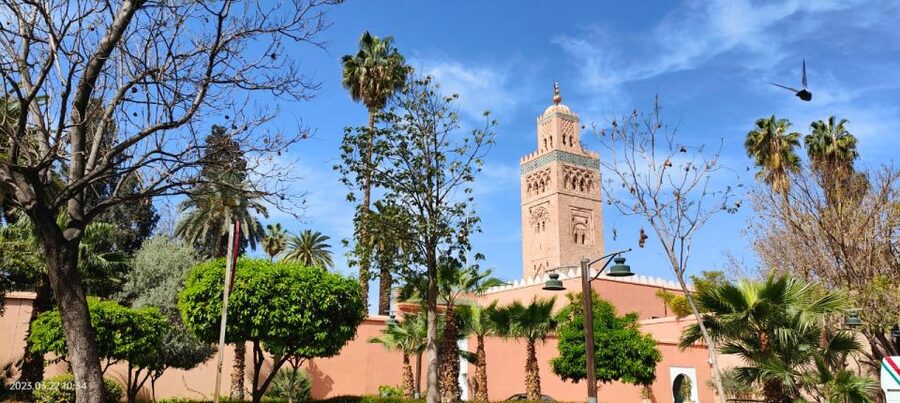Marrakech 3-Hour Walking Tour - Key highlights to look for