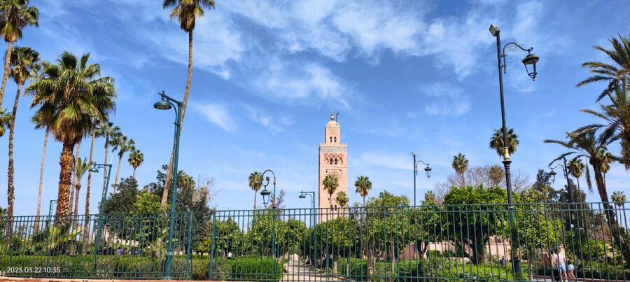 Marrakech 3-Hour Walking Tour - Should you book this Marrakech 3-hour walking tour?