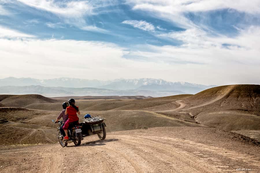 Marrakech : 3h off the beaten path private sidecar ride - Palmeraie: the palm oasis and the reforestation program