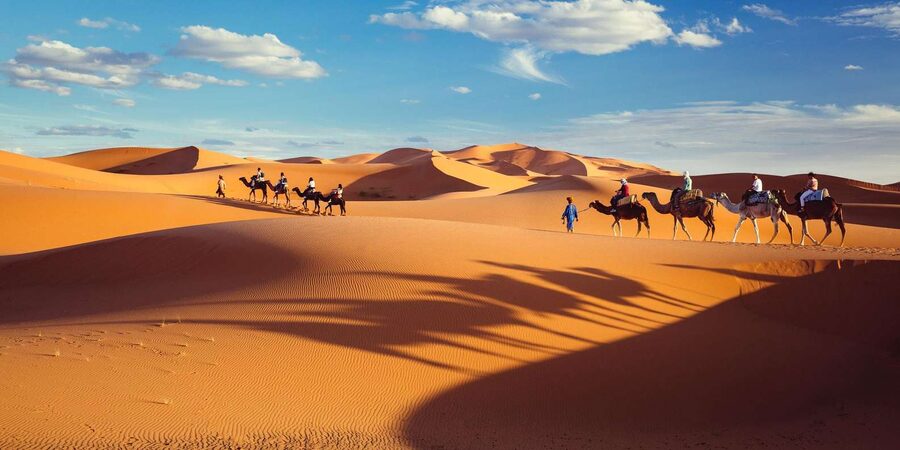 Marrakech: 4D Desert to Merzouga w/ 2 nights in the desert - Day 4: Sunrise, camel ride again, and the long return toward Marrakech or Fez