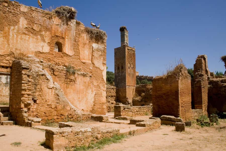 Marrakech: 9-Day Imperial Cities and Sahara Discovery Tour - Day 8 Marrakech full day: Koutoubia, Saadian Tombs, Bahia Palace, Secret Garden, Menara