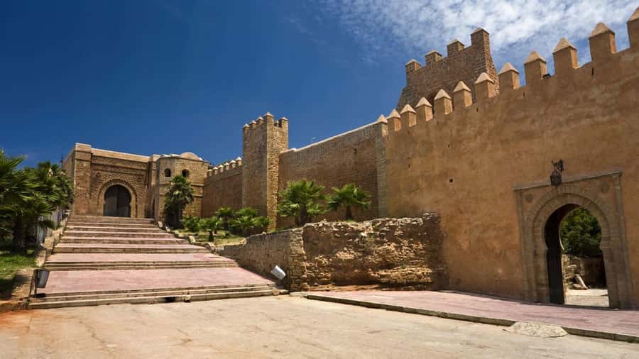 Marrakech: 9-Day Imperial Cities and Sahara Discovery Tour - Day 1 Marrakech: arrival transfer, your first souk day in motion
