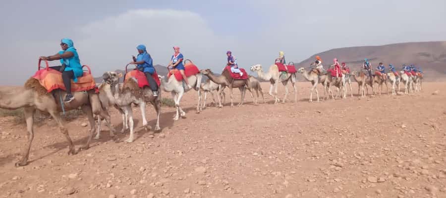 Marrakech Adventure: Agafay Desert Quad, Camel, Lunch - Lunch in a Berber Tent With Panoramic Views, Plus Pool Time