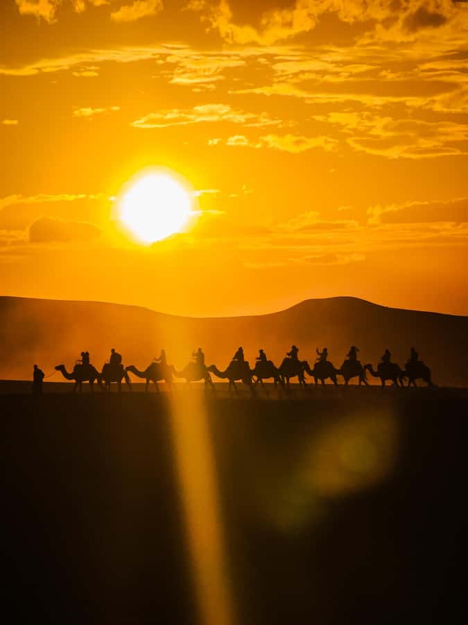 Marrakech: Agafay Camel Ride & Dinner with Fire Show Tour - Key Highlights You’ll Actually Feel in Agafay