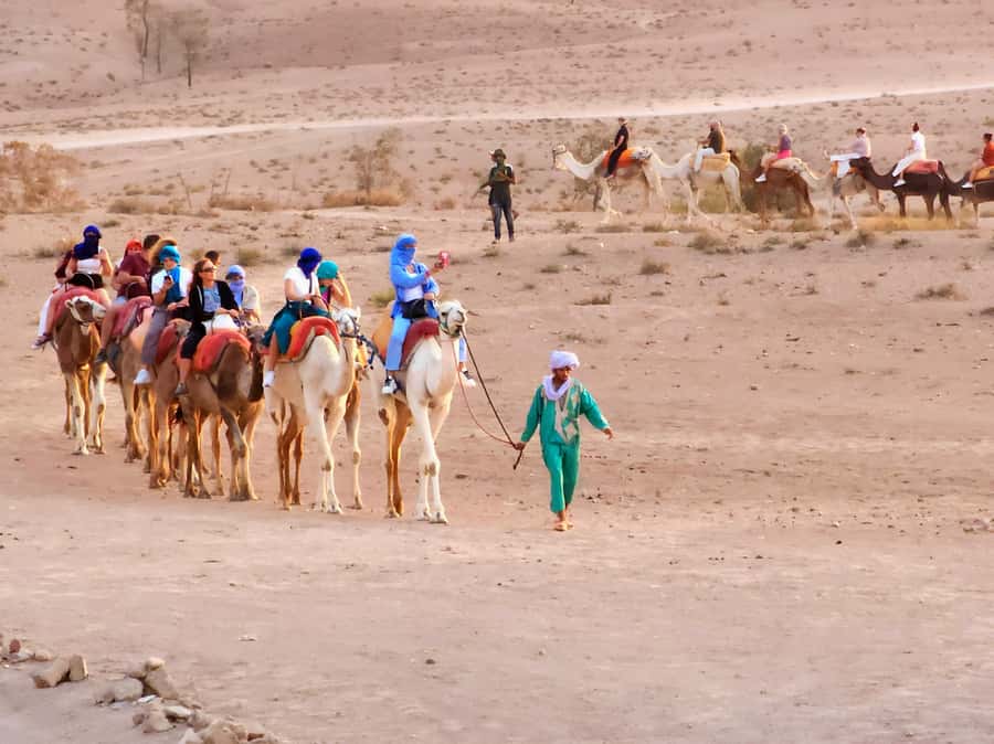 Marrakech: Agafay Camel Ride & Dinner with Fire Show Tour - Price and Value at About $28 Per Person