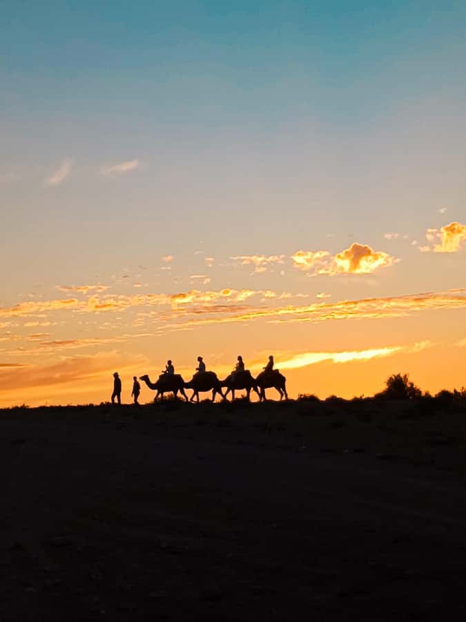 Marrakech: Agafay Camel Ride & Dinner with Fire Show Tour - The Argan Oil Cooperative Stop, Plus Mint Tea Welcome