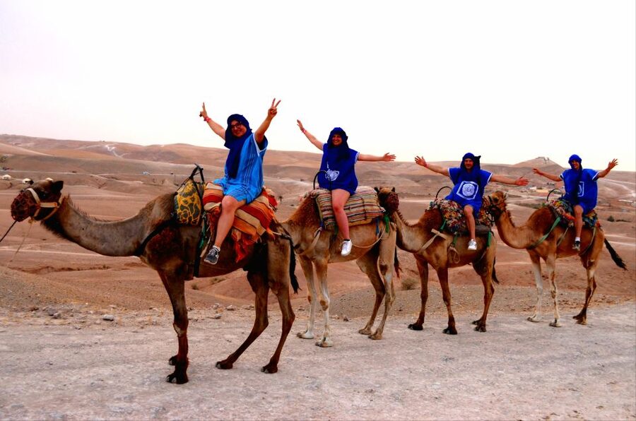 Marrakech: Agafay Desert Buggy Tour with Transfer - What to bring, what to avoid, and who should skip this one