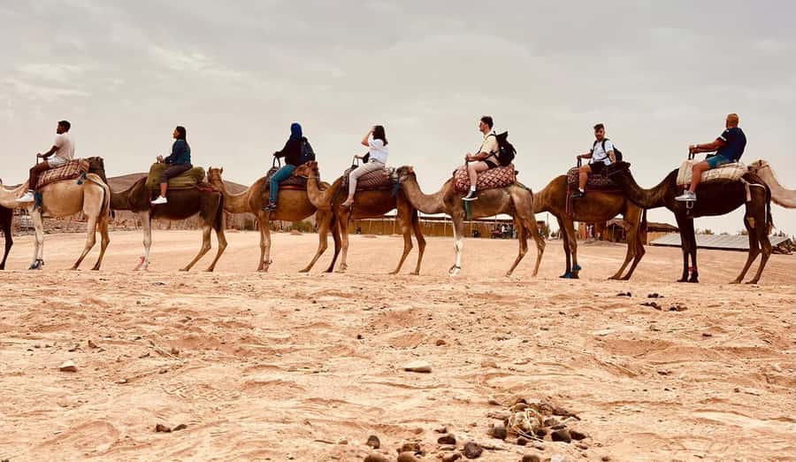 Marrakech Agafay Desert camel ride, Lunch & Swimming - Price and value for $39, is it worth it