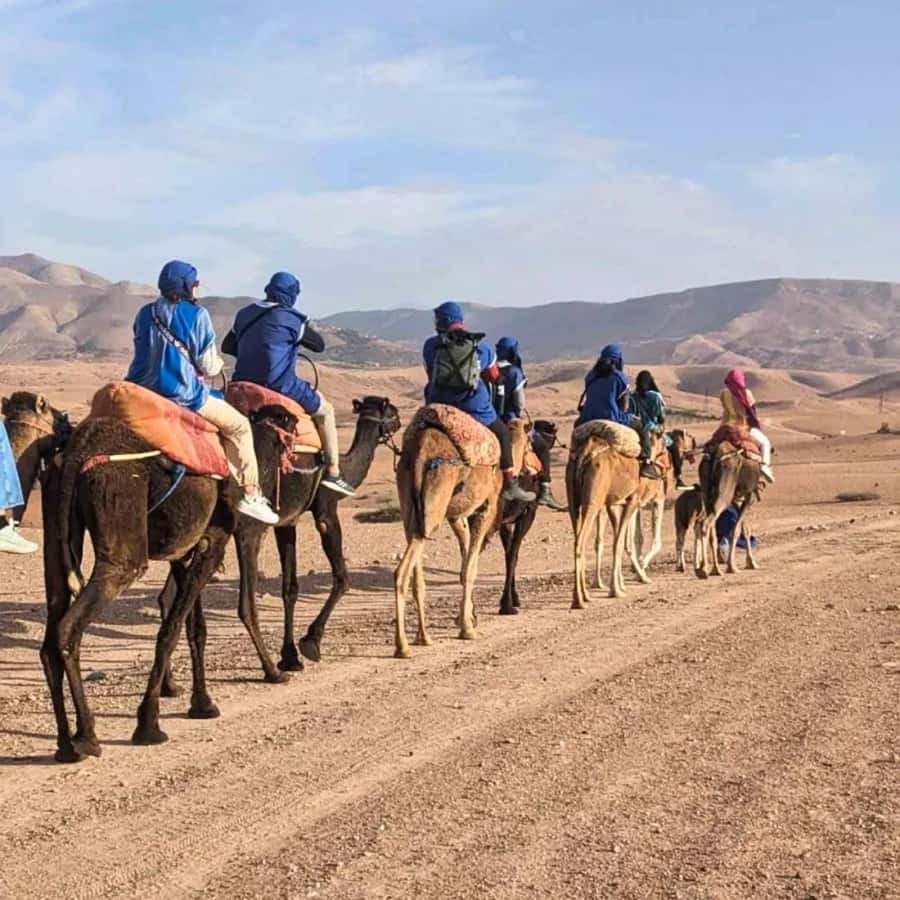 Marrakech: Agafay Desert Camel Ride & Quad with Dinner Show - Price and value: why this is a strong deal at $22