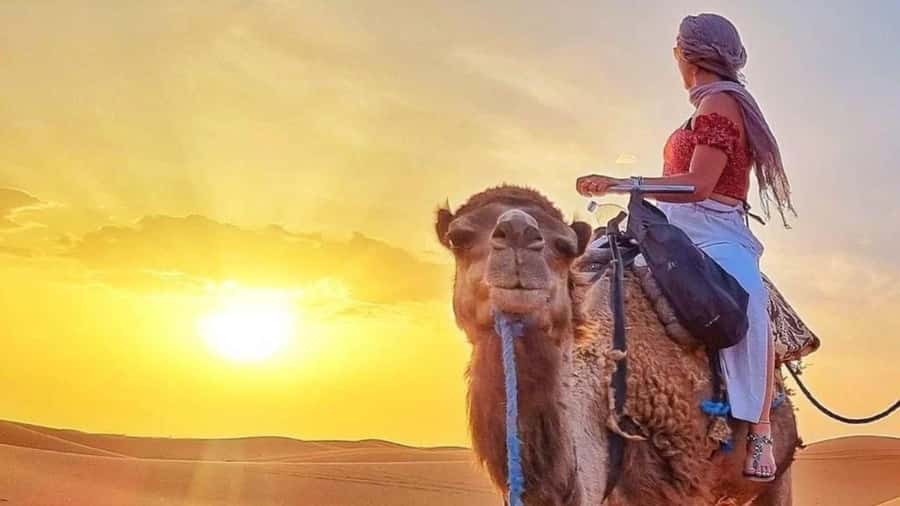 Marrakech Agafay desert: Camel Ride, Sunset, Dinner show - Argan Oil and the Tea Stop: Learning Without Dragging