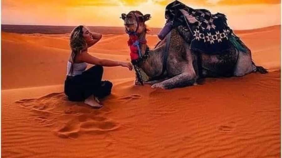 Marrakech Agafay desert: Camel Ride, Sunset, Dinner show - Agafay Camp Evening: Lanterns, Bonfire Sounds, and Real-Feeling Atmosphere