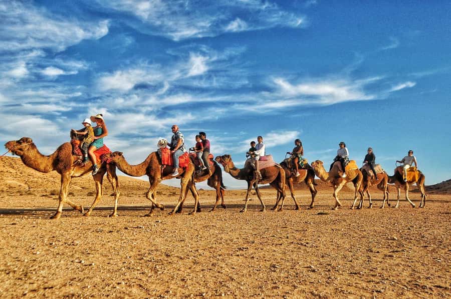 Marrakech Agafay desert: Camel Ride, Sunset, Dinner show - Berber Music and the Fire Show: Two Acts, One Night You Can Actually Enjoy