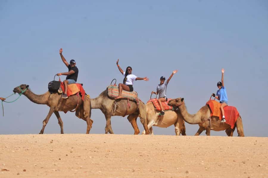 Marrakech Agafay desert: Camel Ride, Sunset, Dinner show - Getting Picked Up: Smooth Start, Multiple Stops