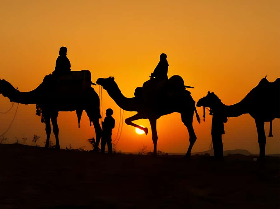 Marrakech: Agafay Desert Camel Ride with Dinner & Show - FAQ