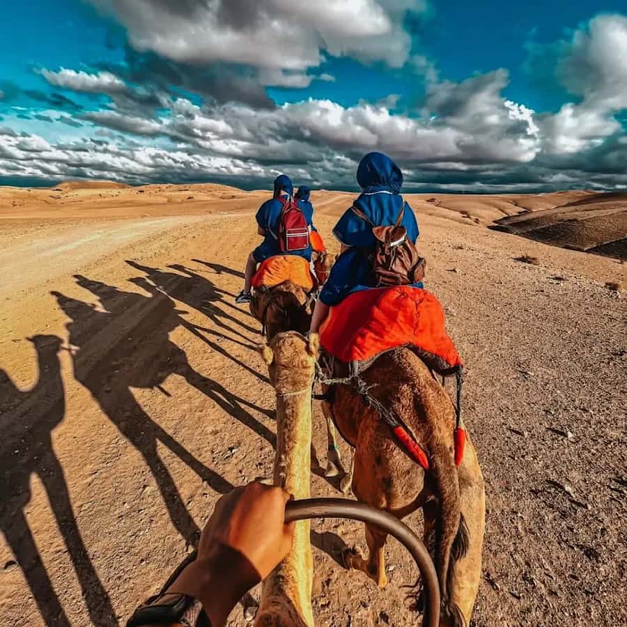Marrakech: Agafay desert camel ride with dinner & spectacle - Marrakech to Agafay at Sunset, the Timing That Makes It Work
