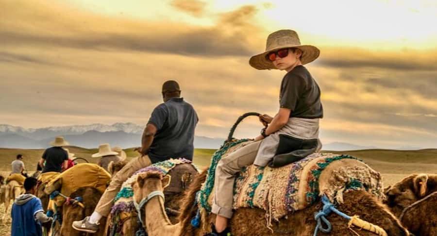 Marrakech: Agafay desert camel ride with dinner & spectacle - Desert Camp Arrival and Mint Tea, the Calm Before Dinner