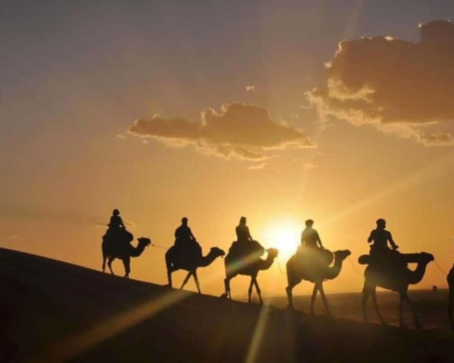 Marrakech: Agafay Desert Camel Rides, Dinner and Fire Show - Not a fit for everyone, here is the drawback to think about