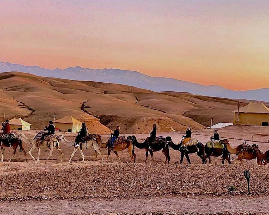 Marrakech: Agafay Desert Camel Rides, Dinner and Fire Show - Who this Agafay camel and fire show tour suits best