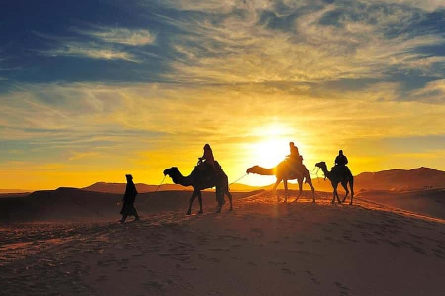 Marrakech: Agafay Desert Dinner and Sunset Camel Ride Trip - Sunset Camel Ride: The Main Event That People Remember