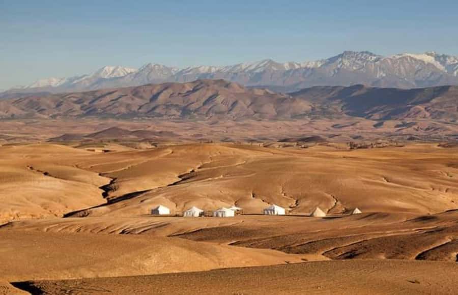 Marrakech: Agafay Desert Dinner and Sunset Camel Ride Trip - Camp Time: Coffee, Stars, and Entertainment (When Included)