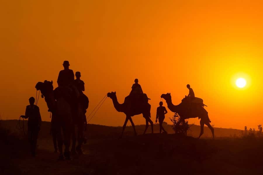 Marrakech: Agafay Desert Dinner, Camel Ride, and Music Show - Agafay Desert at night: why this feels worth it