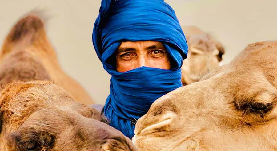 Marrakech: Agafay Desert Dinner, Camel Ride, & Show - Key Points That Make This Agafay Evening Worth It