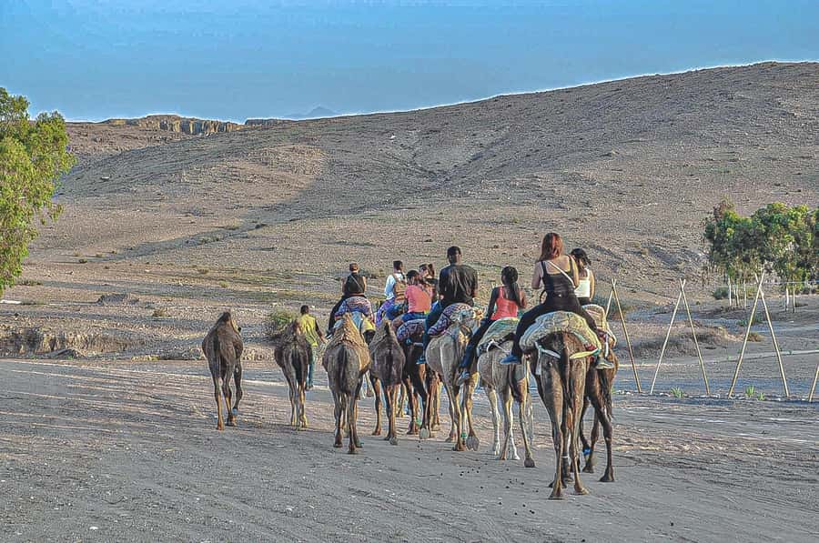 Marrakech: Agafay Desert Dinner, Camel Ride, & Show - The Sunset Moment: Timing, Atmosphere, and Photo Tips