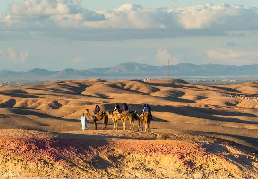 Marrakech: Agafay Desert Dinner Show with Quad Bike & Camel - Dinner Under the Stars Plus Berber Music and Fire Dancers