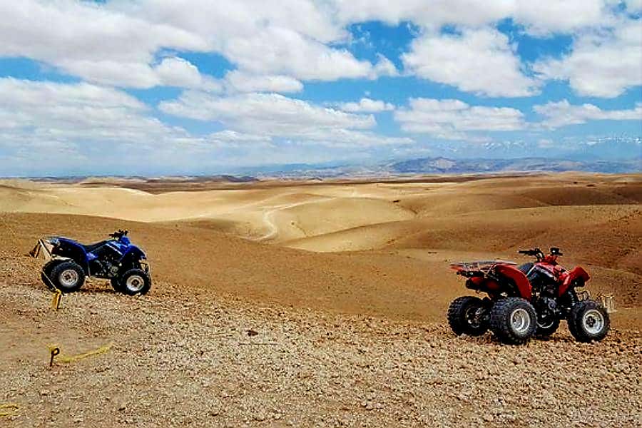 Marrakech: Agafay Desert Dinner Show with Quad Bike & Camel - Price and Value: Why This Costs Less Than You Expect for So Much