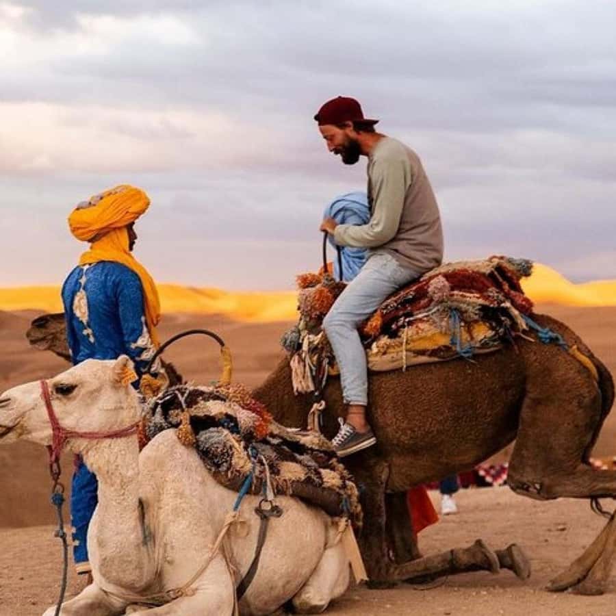 Marrakech: Agafay Desert Dinner Show with Sunset Camel Ride - Key highlights at a glance