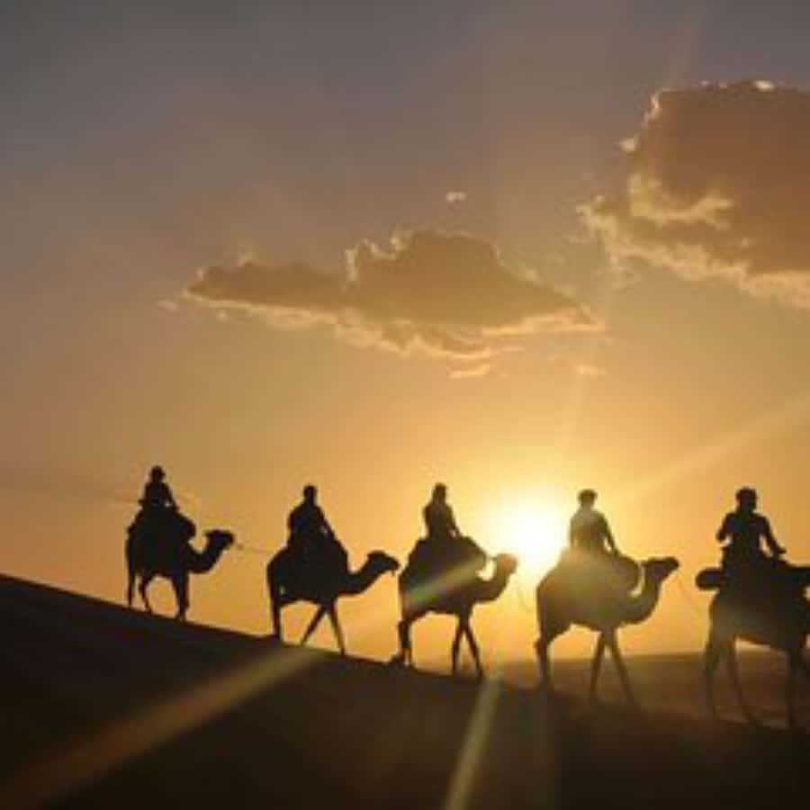 Marrakech: Agafay Desert Dinner with Music and Fire Show - Should you book this Agafay Desert dinner with music and fire show?