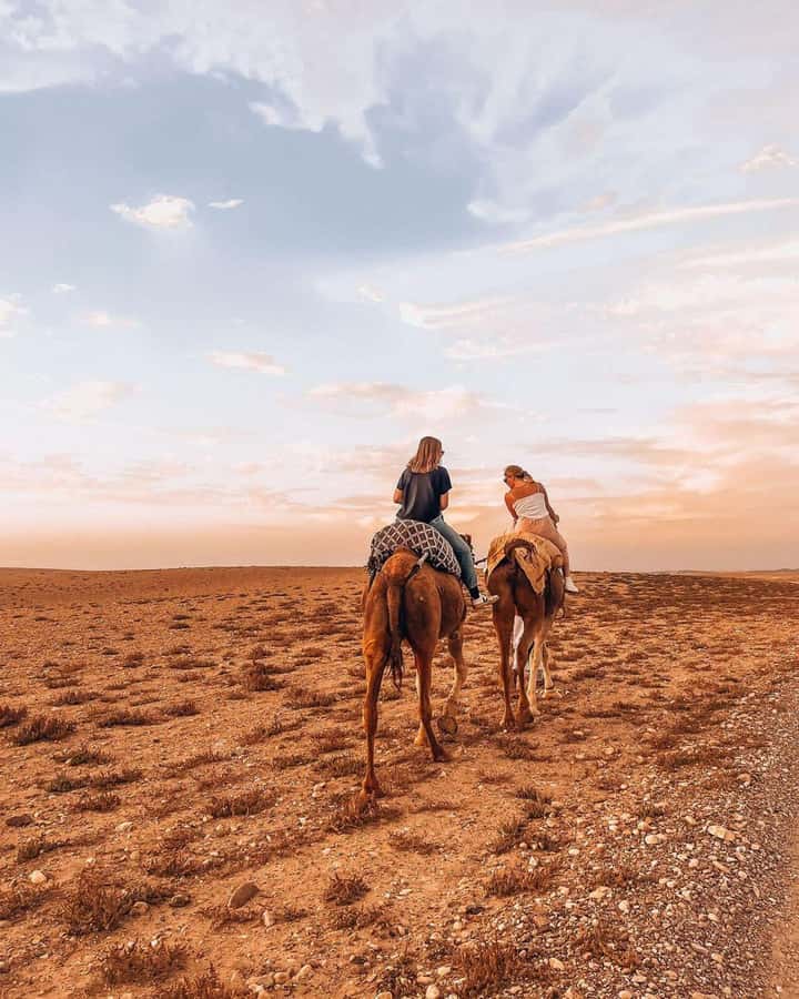 Marrakech: Agafay Desert Escape with Quad or Camel Ride - Camp entertainment and fire moments, how the night is paced