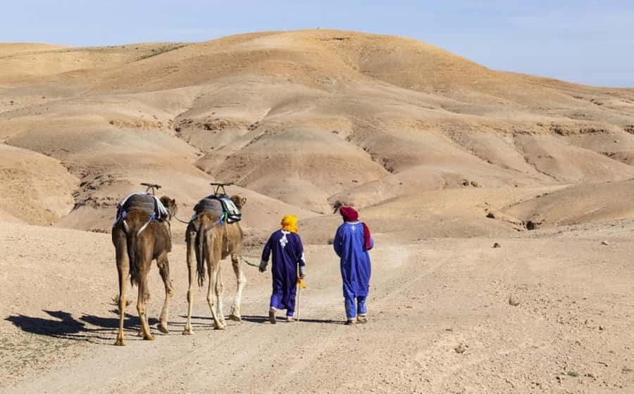 Marrakech: Agafay Desert, Lunch, Camel Ride, & Swimming Pool - Price, Value, and What You Really Pay For