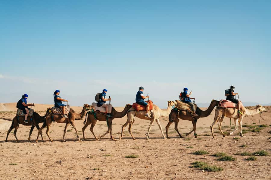 Marrakech: Agafay Desert Pool, Dinner & Live Show Experience - Logistics that actually matter on the ground