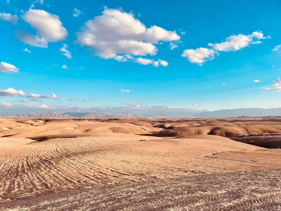 Marrakech: Agafay Desert Quad Bike Tour with Moroccan Tea - Key takeaways before you go