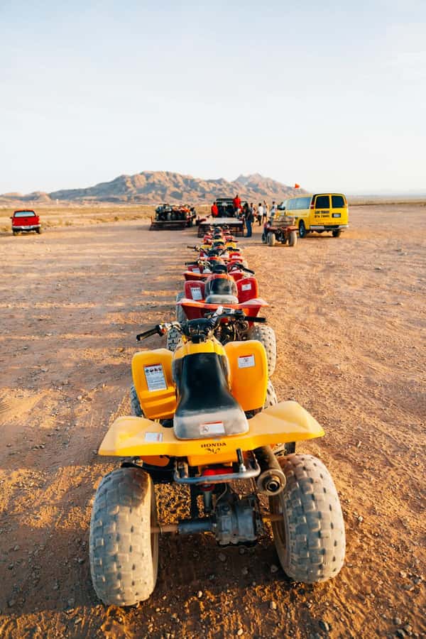 Marrakech: Agafay Desert Quad Bike with Camels & Dinner Show - Key highlights worth marking
