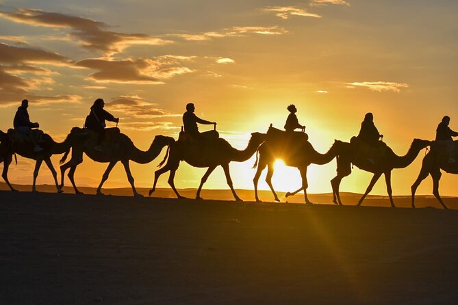 Marrakech: Agafay Desert Quad Biking & Camel Trek & Dinner & Show - Key highlights you should know before you go