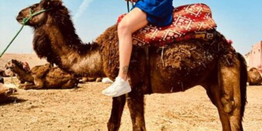 Marrakech: Agafay Desert Quad Biking with Dinner & Show - The campfire show: Berber music, storytelling, and the fire finale