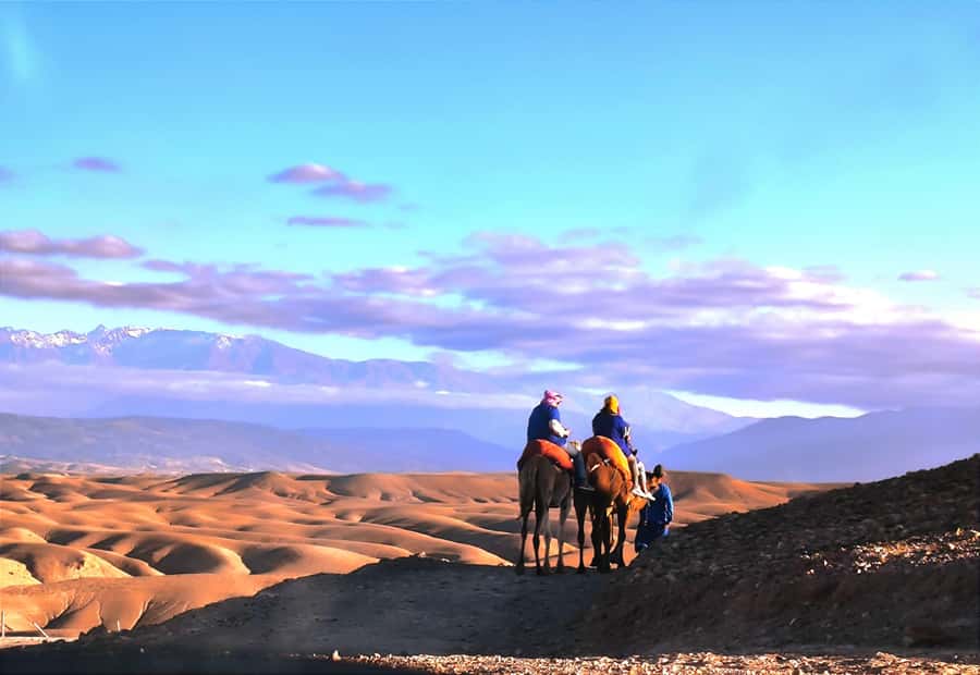 Marrakech: Agafay Desert Quad, Camel or Pool Day with Lunch - From Marrakech to Agafay, this is a day that moves