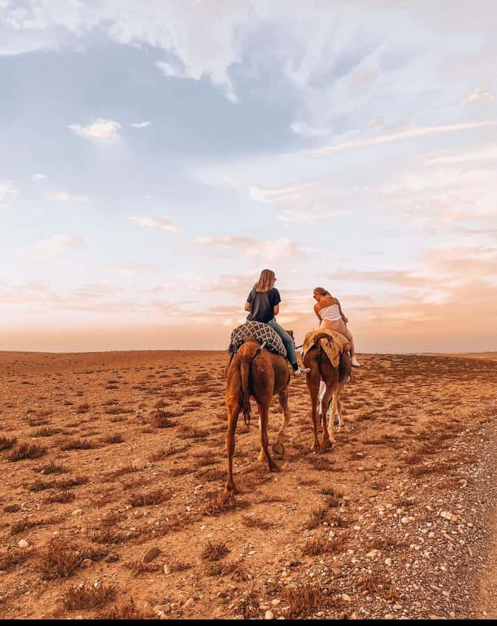 Marrakech: Agafay Desert Quad, Camel Ride & Dinner Show - Should you book it or skip it?