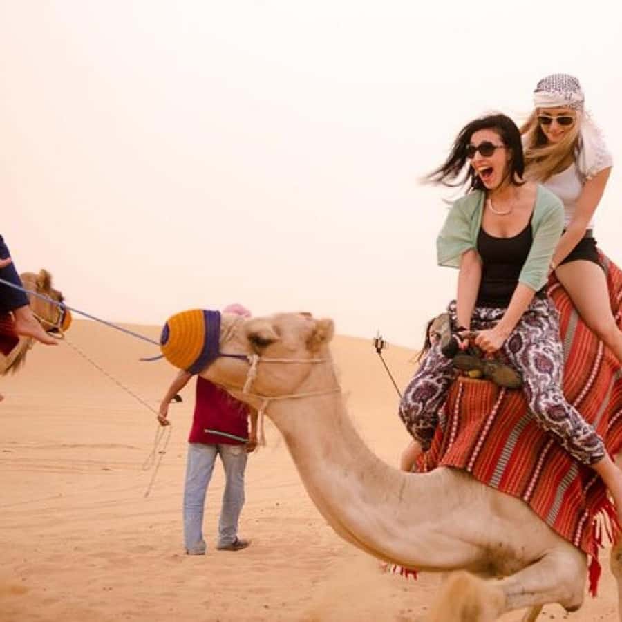 Marrakech: Agafay Desert Quad & Camel Rides Whit Dinner Show - Key Things That Make This Marrakech Evening Worth It