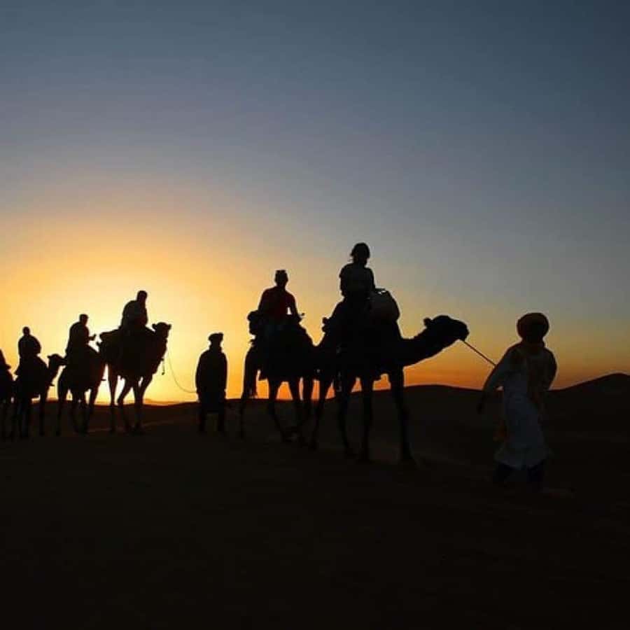 Marrakech: Agafay Desert Quad & Camel Rides Whit Dinner Show - Camel Ride at Sunset: The Calm Contrast That Makes the Day Work