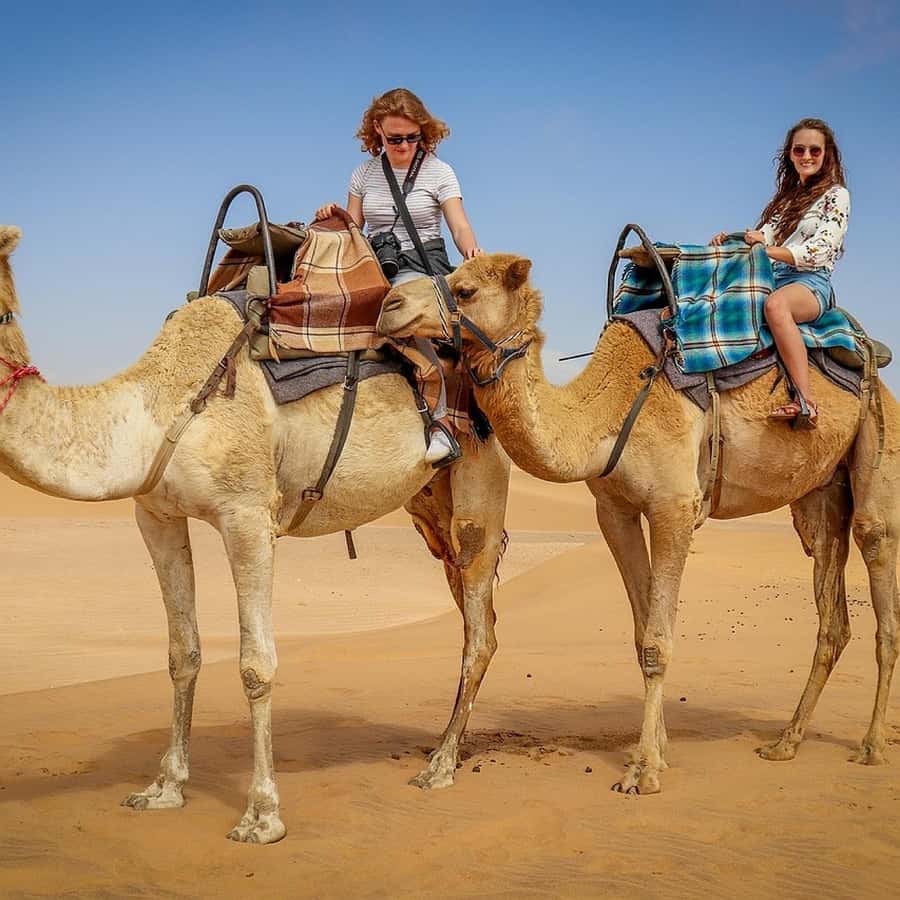 Marrakech: Agafay Desert Quad & Camel Rides Whit Dinner Show - Common Snags to Watch For Before You Hand Over Your Time