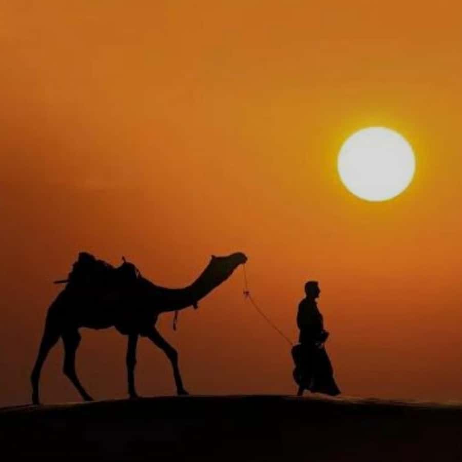 Marrakech: Agafay Desert Quad & Camel Rides with Dinner Show - Key highlights you should know before you go