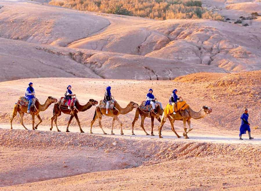 Marrakech: Agafay Desert Quad & Camel Rides with Dinner Show - Quad biking in Agafay: helmets on, safety first, and adrenaline you can control