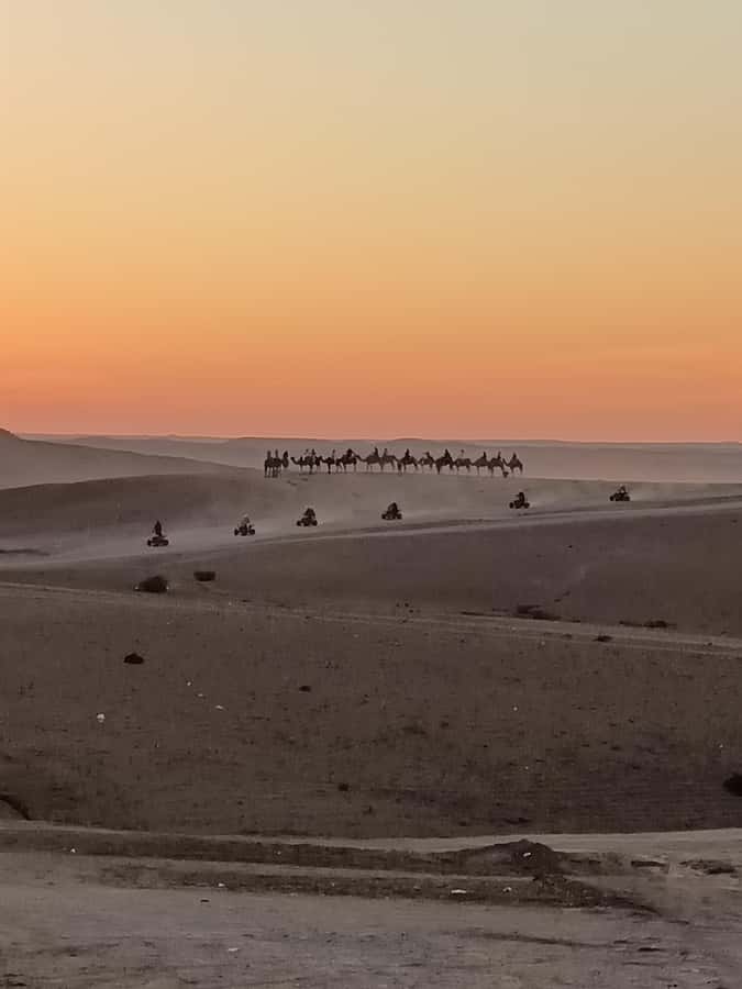 Marrakech: Agafay Desert Quad & Camel Rides with Dinner Show - Who this tour fits best (and who might want a different plan)