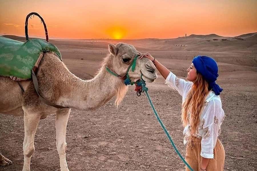 Marrakech: Agafay Desert Quad, Camel, Sunset Dinner & Show - Quad biking in Agafay: fun, but set your expectations