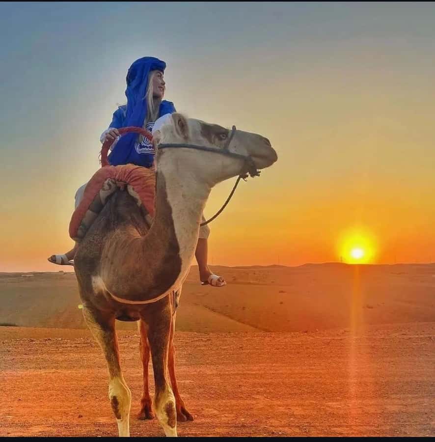 Marrakech: Agafay Desert Sunset, Camel Ride, and Dinner Show - Who This Suits Best (and Who Might Want Something Different)