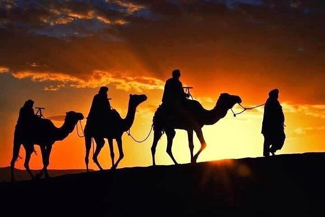 Marrakech: Agafay Desert Sunset, Camel Ride, and Dinner Show - The Argan Oil Cooperative Stop and Moroccan Tea at Camp
